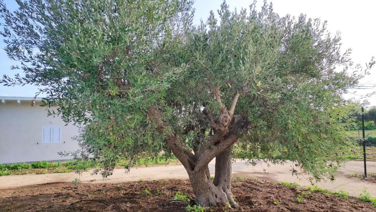 Le Zagare Di Vendicari Villa Lido di Noto Екстериор снимка